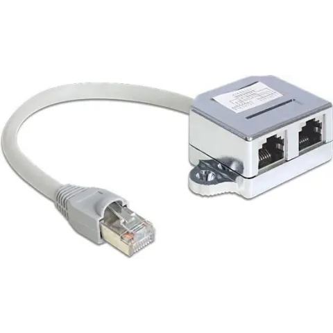 DeLOCK 65441 kabeladapter/verloopstukje RJ45 2xRJ45 Grijs