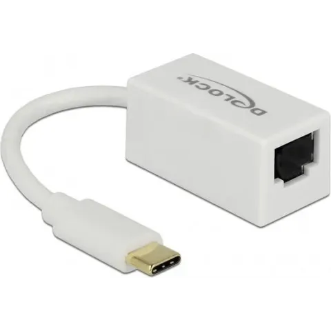 DeLOCK 65906 USB-C naar RJ45 Gigabit Ethernet LAN adapter / compact - USB3.0 - CAT6 / wit - 0,10 meter
