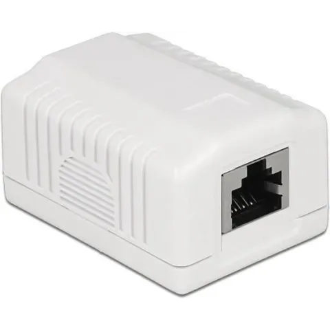 DeLOCK CAT6a Gigabit netwerk uitvoerdoos/montagedoos met 1 RJ45 poort - afgeschermd / wit