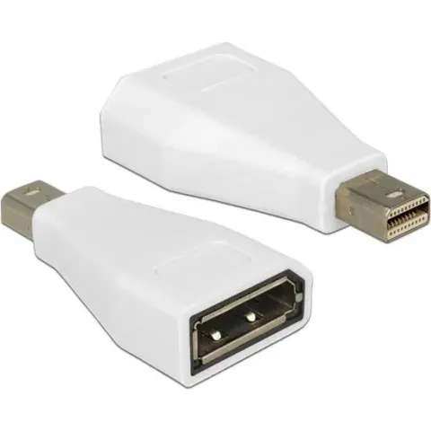 Delock - Mini DisplayPort - DisplayPort Adapter - Wit
