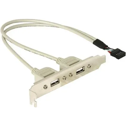 Delock -  naar USB 2.0 A Female - 0.3 m