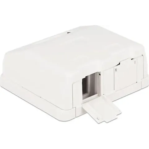 DeLOCK Uitvoerdoos voor 2 Keystone modules met afsluitcovers / wit