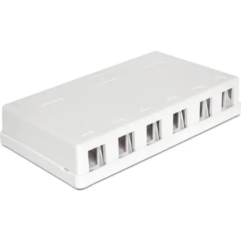 DeLOCK Uitvoerdoos voor 6 Keystone modules / wit