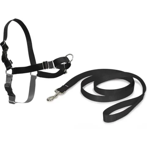 Easy Walk® - Hondentuig - Small/38-51 cm - Zwart