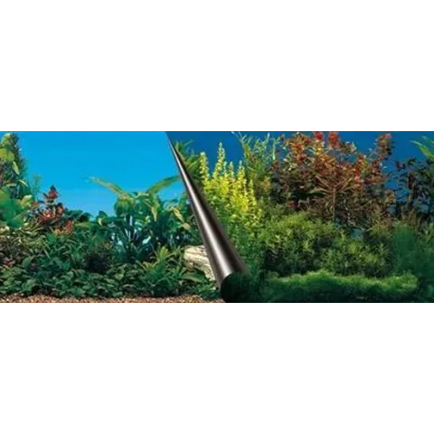 Ebi Foto Achterwand Beauty & Sea 40cm