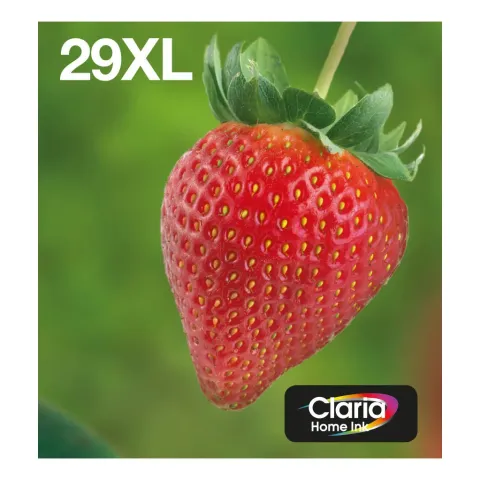Epson 29XL Cartridges Combo Pack
