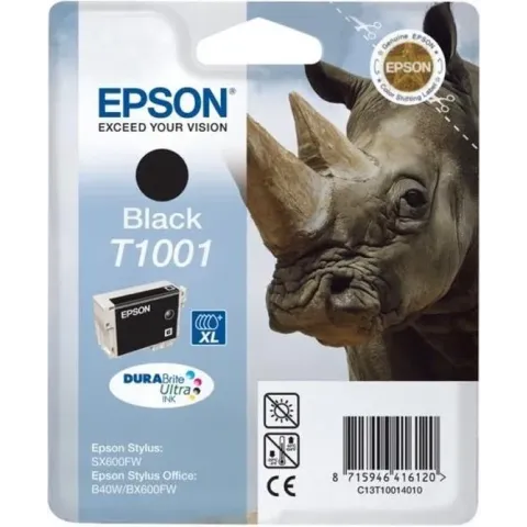 Epson T1001 - Inktcartridge / Zwart