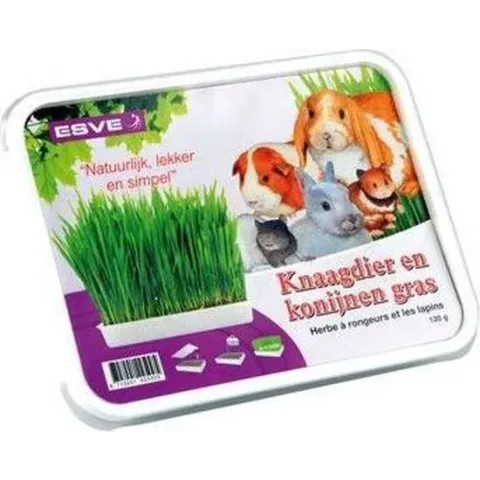 Esve knaagdiergras weidebloem