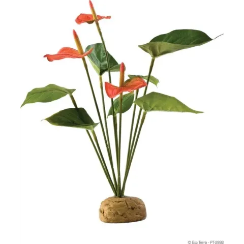 Exo Terra Rainforest Plant Anthuriumbush per stuk