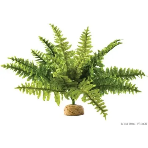 Exo Terra Rainforest Plant Boston Fern Small