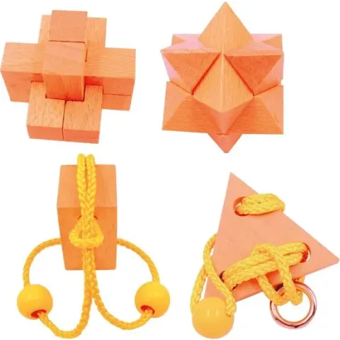 Expert Wooden Puzzles collection