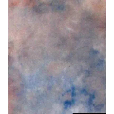 Falcon Eyes Achtergronddoek S122 2,9x7 m