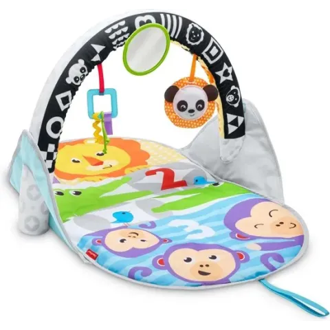 Fisher-Price 2-in-1 Activity Gym