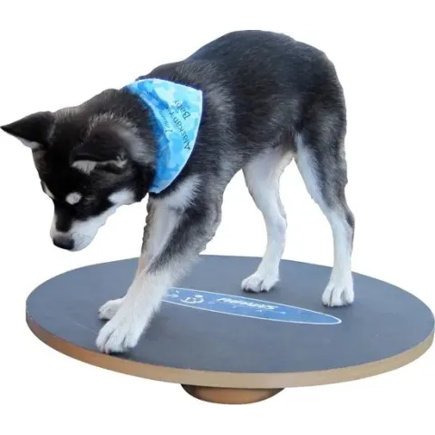 Fitpaws Balansbord Wobble Board 50 Cm Hout Grijs