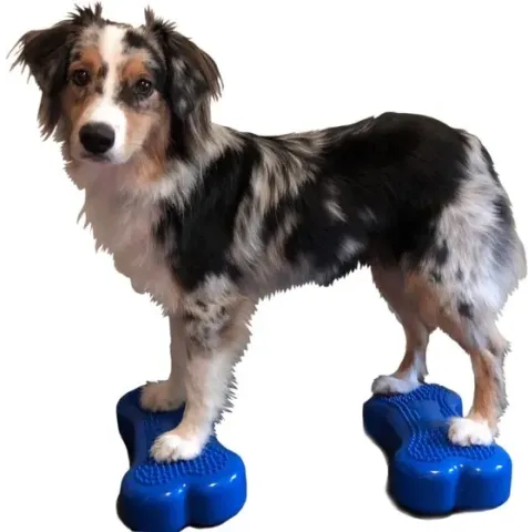 Fitpaws Trainingsbot Mini K9fitbone 29 Cm Pvc Blauw 2 Stuks