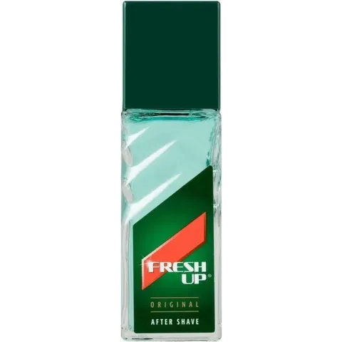 Fresh Up Original Roller for Men - 100 ml - Aftershave lotion