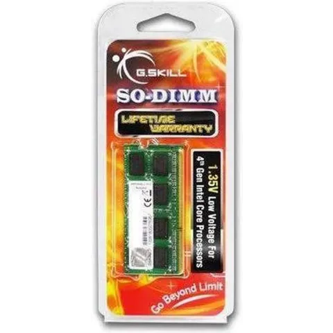 G.Skill 4GB DDR3-1600 geheugenmodule 1600 MHz