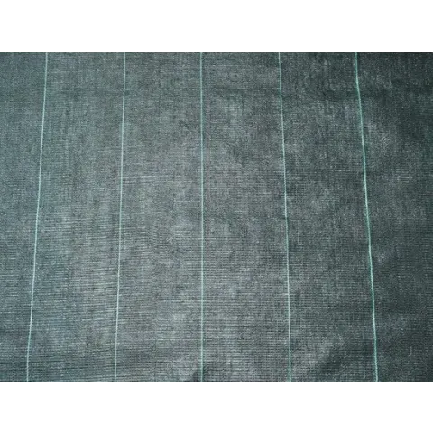 Gronddoek 2x5 m + pennen 10x