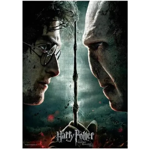 Harry Potter vs Voldemort Puzzel