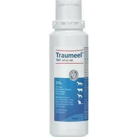 Heel Traumeel s gel