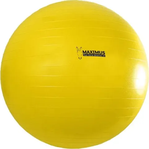 Hofman Maximus Power Play Ball 100cm