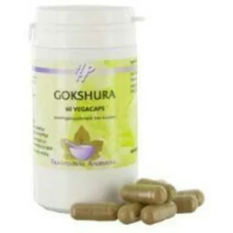 Holisan Gokshura - 60 cap