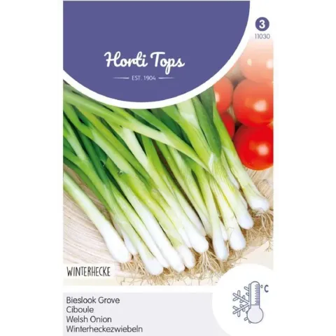 Hortitops zaden - Bieslook grove - Allium Fistulosum
