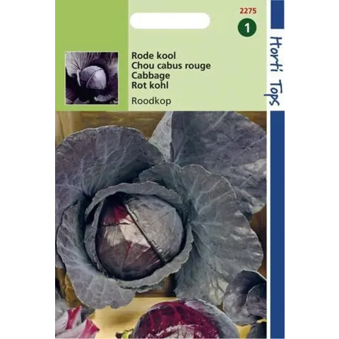 Hortitops Zaden - Rodekool Roodkop ( Cabeza Negra 2 )
