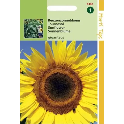 Hortitops Zonnebloemzaden - Helianthus annuus uniflorus giganteus