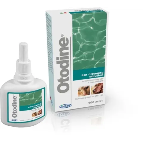 ICF Otodine 100ML