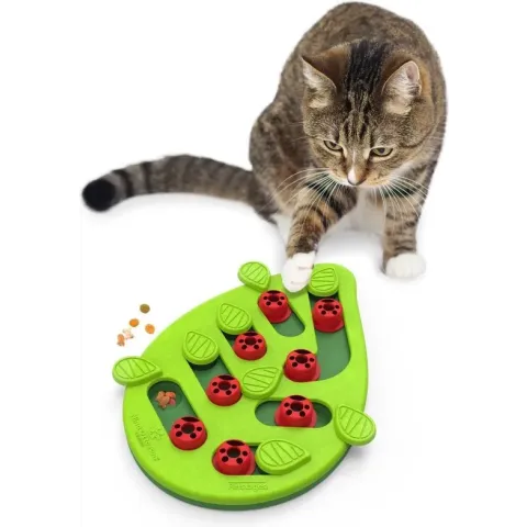 Interactieve Puzzel vulbaar met snacks voor Katten - Petstages Buggin Out