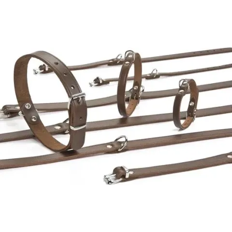 Ipts halsband - Bruin 27x10