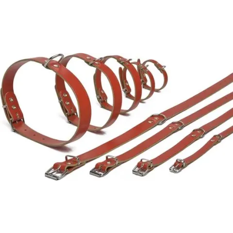 Ipts halsband - Rood 32x10