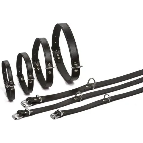 Ipts halsband - Zwart 32x10