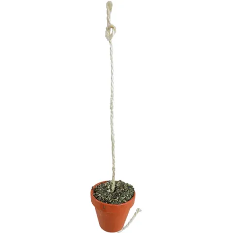 Jr Farm Kleipot Grote Parkiet En Papegaai - Vogelspeelgoed - 10 x 13 x 19.5 cm 260 g
