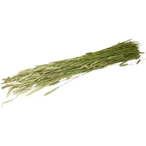 JR Farm Timothee - Oogst 80 gr