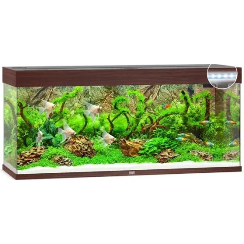 Juwel Aquarium Rio 240 Led 121x41x50 cm - Aquaria - Donker Hout