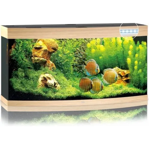 Juwel Aquarium Vision 260 Led 121x46x64 cm - Aquaria - Licht Hout