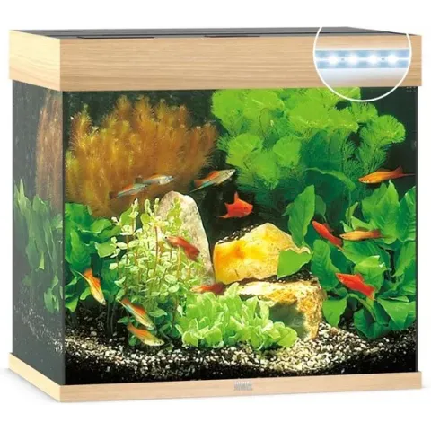 Juwel Lido 120 LED Aquarium - Houtkleur - 120L - 61 x 41 x 58 cm