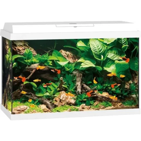 Juwel Primo 70 Aquarium - Wit - 70L - 61 x 31 x 44 cm