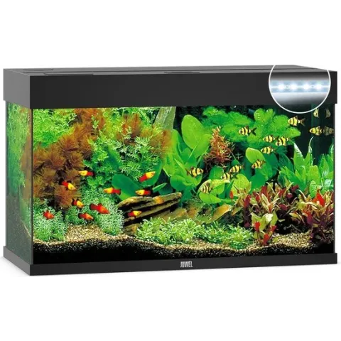 Juwel Rio 125 LED Aquarium - Zwart - 125L - 81 x 36 x 50 cm