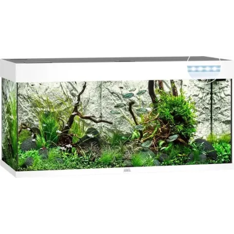 Juwel Rio 180 LED Aquarium - 101 x 41 x 50 cm - 180 L - Wit