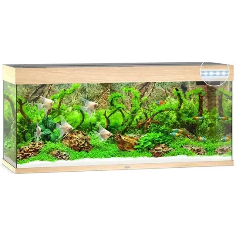 Juwel Rio 240 LED Aquarium - Houtkleur - 240L - 121 x 41 x 50 cm