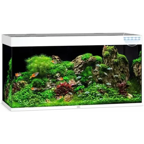 Juwel Rio 250 LED Aquarium - Wit - 350L - 121 x 51 x 66 cm