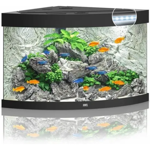 Juwel Trigon 190 Aquarium - Zwart - 190L - 70 x 70 x 60 cm