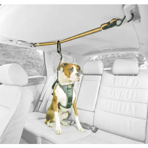 Kurgo - Auto Zip Line For Dogs - Black/Orange