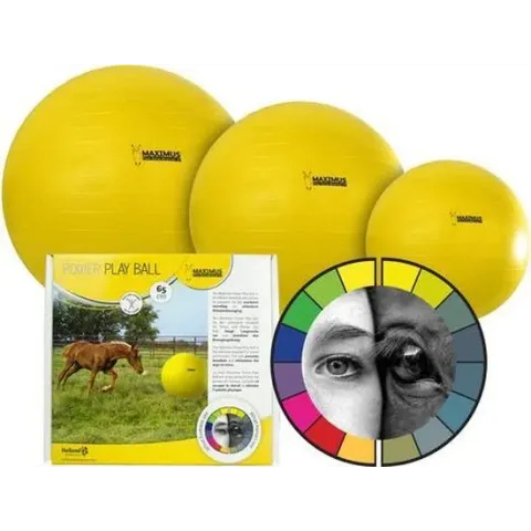 Maximus Power Play Ball - 65 cm