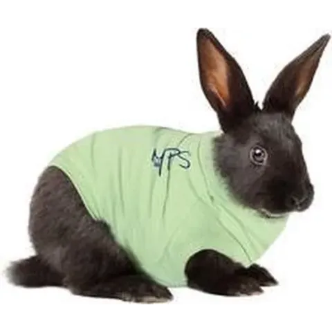 Medical Pet Shirt Konijn - S