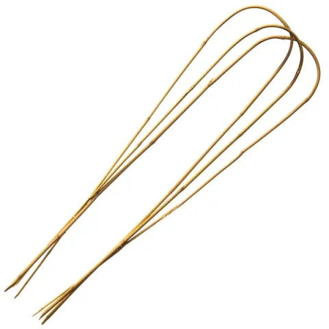 Nature Bamboestok Gebogen Naturel - Klim-En Geleide Artikel - 60 cm