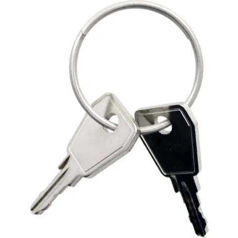 Nexxt sleutel P8 2 stuks